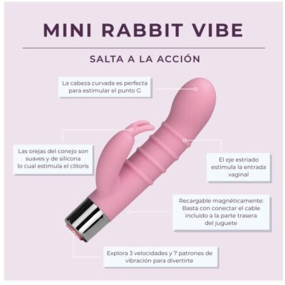 Mini Rabbit Vibe